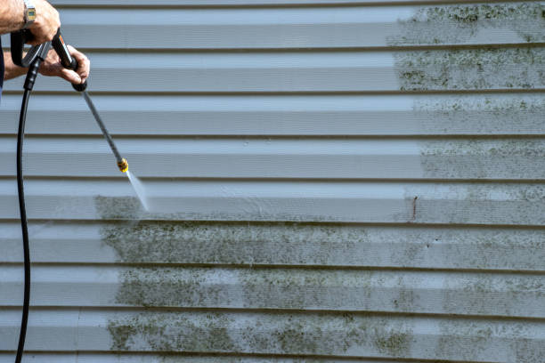 Professional Siding Installation & Repair in Williamson, WV